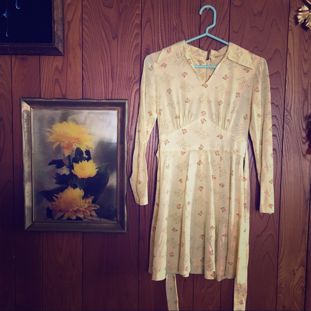 Vintage cotton A-line dress